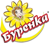 Вакуумный насос роторно-лопаточный сухого типа